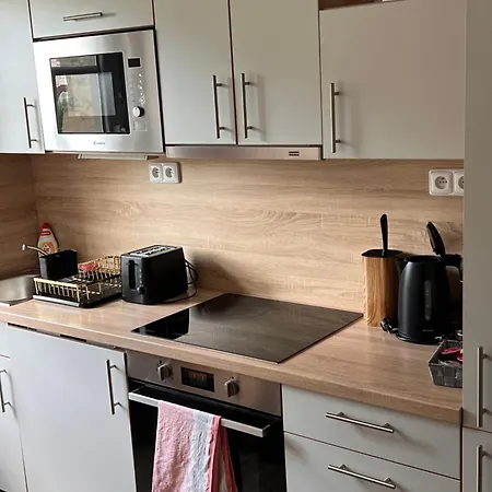 Apartmentscarlsbad Daire Karlovy Vary