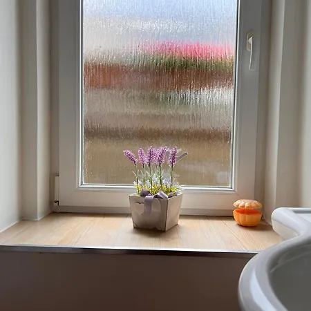 Apartmentscarlsbad Lägenhet Karlovy Vary