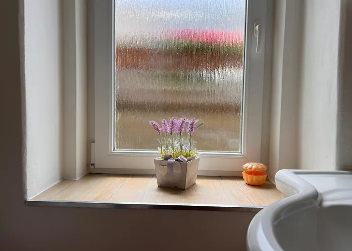Apartmentscarlsbad Lejlighed Karlovy Vary